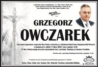 Gołębie zdjęcie